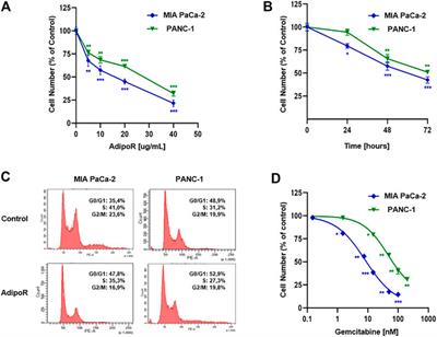 Integrating Gemcitabine-Based Therapy With AdipoRon Enhances Growth Inhibition in Human PDAC Cell Lines